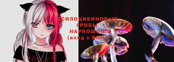 прущие грибы Зеленокумск