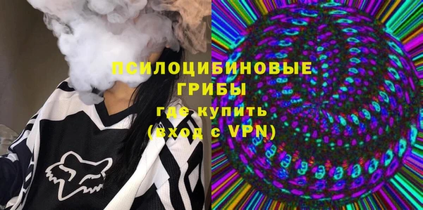 прущие грибы Зеленокумск