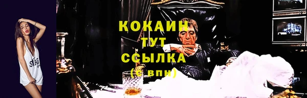 прущие грибы Зеленокумск