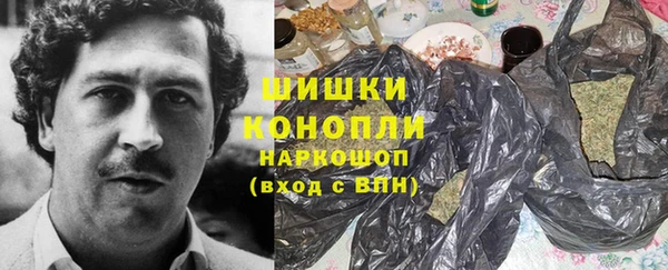прущие грибы Зеленокумск