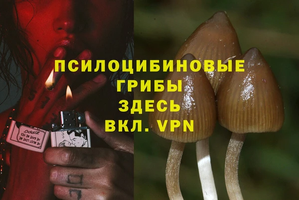 MDMA Зерноград