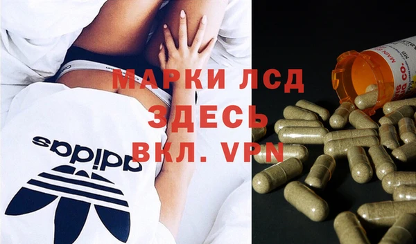 прущие грибы Зеленокумск