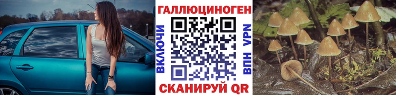 ссылка на мегу сайт  Знаменск  Галлюциногенные грибы Psilocybe  продажа наркотиков 