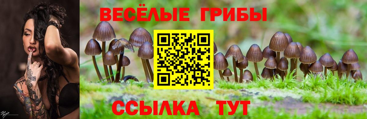 Галлюциногенные грибы мухоморы Знаменск